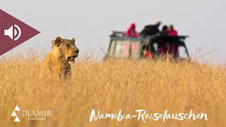 DIAMIRReiselauschen Podcast Namibia [upl. by Winfrid395]