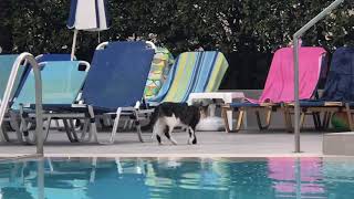 Poseidon beach hotel early morning poolside view Greece Zakynthos 2019 [upl. by Sigrid]