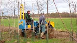 Bomen rooien bij boomkwekerij HJ van Dee [upl. by Tildi]