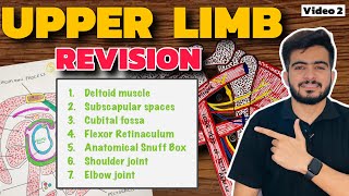 Complete Upper Limb Revision  Video 2  1st Year Professional Exams [upl. by Nage372]