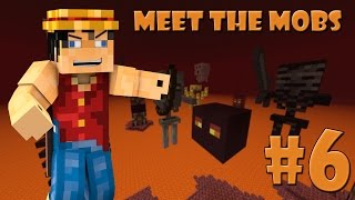 و دخلنا النذر   6 Minecraft  Meet The Mobs [upl. by Lladnek924]