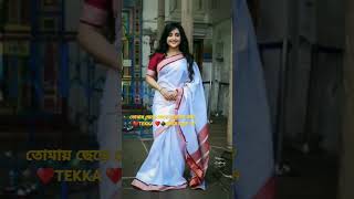 Tomay Chhere Jete Parlam Koi তোমায় ছেড়ে যেতে পারলাম কই tekka newsong dev [upl. by Inamik250]