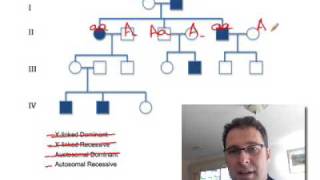 Pedigree Analysis 1 How to solve a genetic pedigree No 1 [upl. by Idahs492]