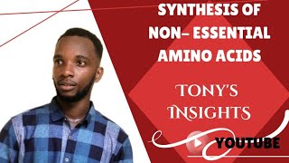 Synthesis of nonessential amino acids [upl. by Eixor341]