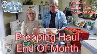 Prepping Haul  End Of Month Extra Budget Haul  Pantry Preview  Seniors Living On Social Security [upl. by Enovaj]