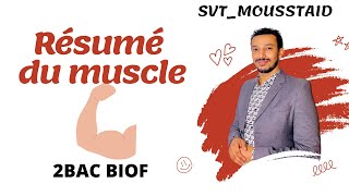 Résumé du Muscle chapitre 2 Aji tfham rapidement PC et SVT 🔥💪 [upl. by Havelock]