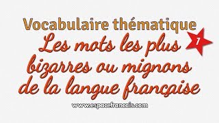 10 mots les plus bizarres ou mignons de la langue française 1ère partie [upl. by Casimir]