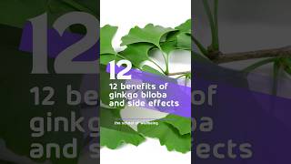 12 Benefits of Ginkgo Biloba and Side Effects 🌿 ginkgo ginkgobiloba wellbeing sideeffects [upl. by Suinuj]