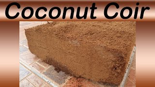 How to use coconut coir bricks Saturating decompressing expanding [upl. by Omora]