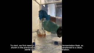 STB 3053  Lab 1  Video 3 how the absorbance measurement of fermentation samples is carried out [upl. by Yate407]