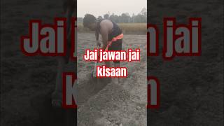 Jai Jawan jai kisaansong punjabi [upl. by Camile193]