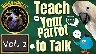 Birbversity Vol 2 Teach Your Parrot To Talk  Parrot Town TV for Your Bird Room [upl. by Newhall462]