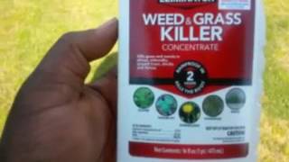 Eliminator weed and grass killer review [upl. by Gunas]