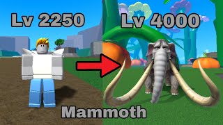 Noob To Pro With Mammoth Fruit 2250  4000  King Legacy [upl. by Werdn911]