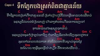 ទឹកភ្នែកបងស្រក់ពឹតជាគ្មាននយ័  COVER LI LOEM🎸🎤🎵 [upl. by Oalsinatse]