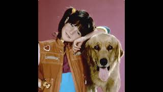 Punky Brewster Soundtrack 1985  Fenster Auction [upl. by Yokum]