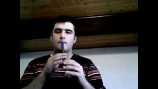 Fairytale of NewYork tin whistle cover [upl. by Razatlab]