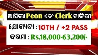 ଅଫିସ Peon ଏବଂ Clerk ପାଇଁ ଚାକିରୀ  Peon amp Clerk Job Vacancy 2024  Odisha Government Job [upl. by Wanda299]