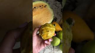 Benefits of Juicing Yellow Watermelon Rind [upl. by Malvino]