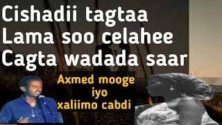 Cagta wadada saar Axmed mooge mooge iyo xaliimo cabdi cagta wadada saar Lyrics qaaraamilyrics [upl. by Angelika223]