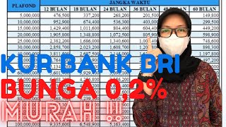 CARA MENGAJUKAN PINJAMAN KUR DI BANK BRI 2021 [upl. by Pam415]