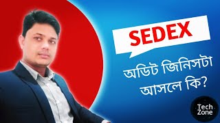 What is RMG Sedex 2 Pillar amp 4 Pillar Audit Social amp Compliance SMETA Standard [upl. by Arikehs]