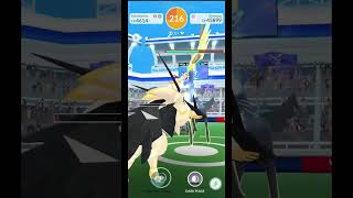 Xerneas Duo and I Got The Shiny ✨😱  Pokemon Go [upl. by Sirapal]