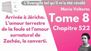 Maria Valtorta  Tome 8 chapitre 522  LEvangile tel quil ma été révélé [upl. by Deeanne]