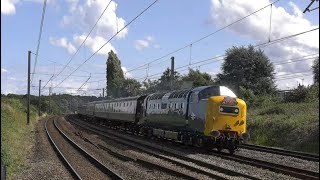 The Capital Deltic Reprise 55009 Alycidon 29th July 2023 [upl. by Triny]