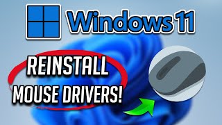 How to UpdateReinstall Mouse Drivers on a Windows 1110 PC [upl. by Aihsel]