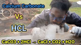 Reaction of calcium carbonate with hydrochloric acid  reaction of HCL  The hacker Pro [upl. by Tnecniv]