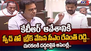 Telanagan Chief Minister revanth reddy FIRST STRONG MASS REPLY To KTR Comments in Telangana Assembly [upl. by Derfniw]