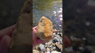 James Found A Beautiful Stromatolite Fossil riverrocks fossils [upl. by Bernt]