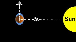 Space Science Tutorial Spring and Neap Tides [upl. by Yrahk]