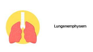 Lungenemphysem  Erkrankungen der Atemwege [upl. by Merideth]