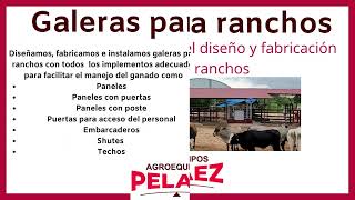 Galeras para ranchos fincas o granjas Establos para ganado con manga shute embarcadero y techado [upl. by Rabush782]