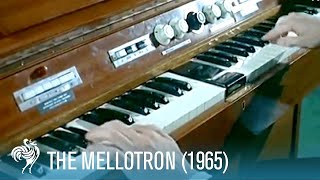 The Mellotron A Keyboard with the Power of an Orchestra 1965  British Pathé [upl. by Sundberg]