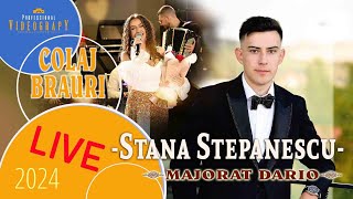 Majorat DARIO  Stana Stepanescu  Banat Expres  2024 [upl. by Melisenda]