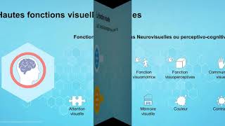 Comprendre lorthoptie les troubles visuels de lenfant et les conséquence sur les apprentissages [upl. by Nnateragram546]