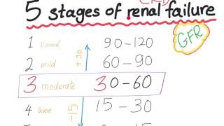 Mnemonic the 5 Stages of chronic kidney disease based on GFR [upl. by Irene]