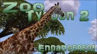 Endangered Celebrate World Giraffe Day  Episode 2 [upl. by Keavy420]