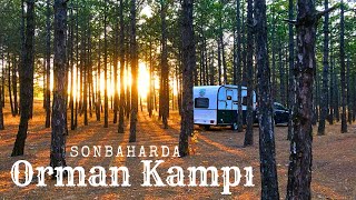 SONBAHARDA ORMAN KAMPI 🍁 [upl. by Lennor]