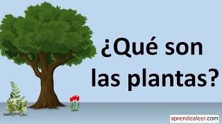 Que son las plantas para niños  diferencia entre plantas y animales [upl. by Oicafinob]