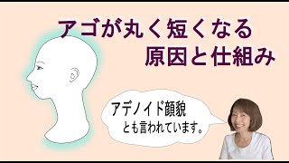 アゴが丸く短くなる原因と仕組み（アデノイド顔貌） [upl. by Meehaf]