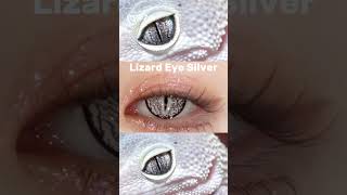 Transform your gaze with Lizard Eye Silver contacts Unleash your inner reptile with mesmerizing [upl. by Norrahs]