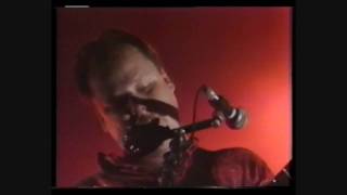 Pixies  23  Trompe Le Monde  1991 06 26 Brixton Academy [upl. by Latona]