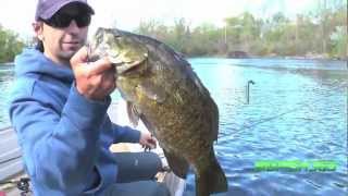 Big Fish 365 Webisode Giant Smallies pt 1 [upl. by Atteuqaj]