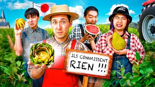 Jemmène des Japonais en France juger les fruits et légumes ils connaissent RIEN [upl. by Ainar638]