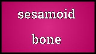 Sesamoid bone Meaning [upl. by Gayel]