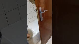 the correct way fix the door lock cylinder doors lock shorts viral ytshorts [upl. by Ardnuaet]